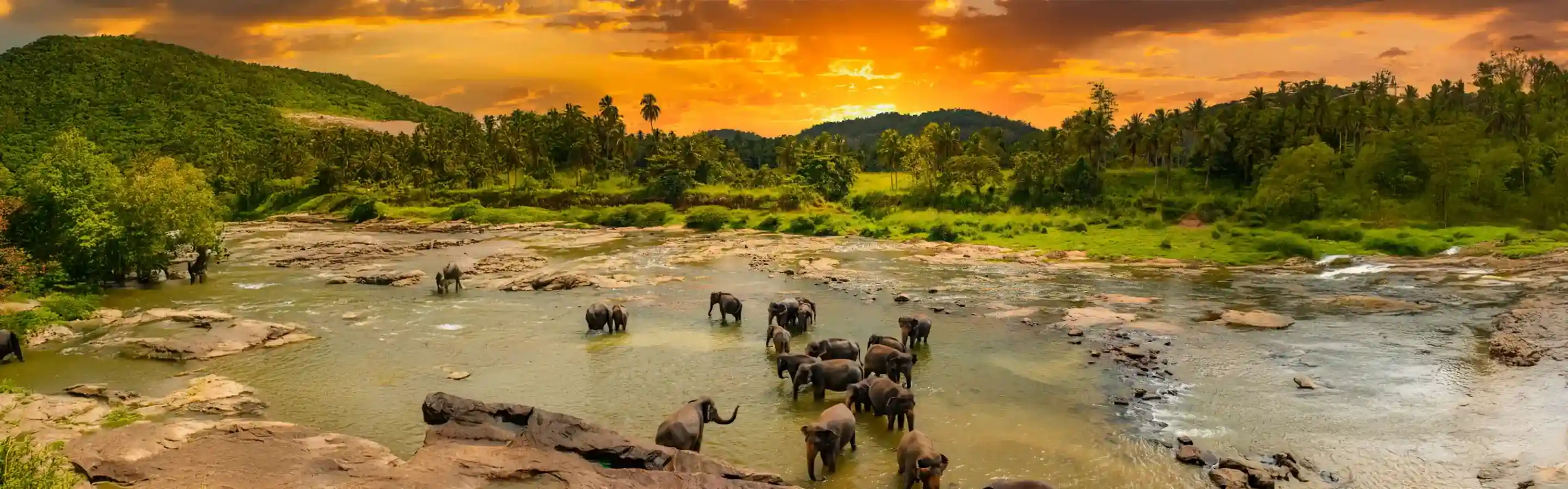 Sri Lanka Tour Packages