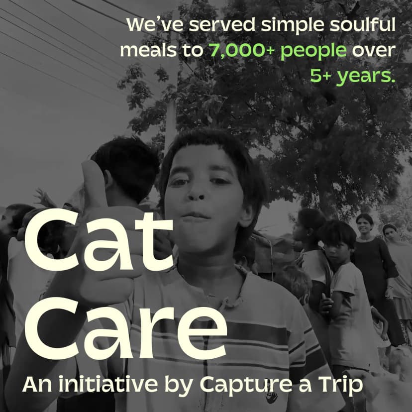 Cat care