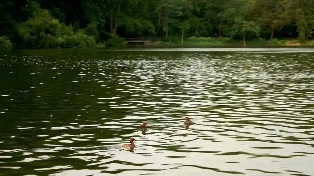 Places to Visit in Bokaro