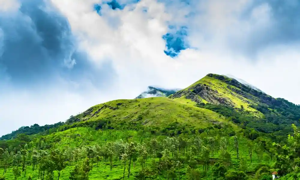 Chembra Peak Trek