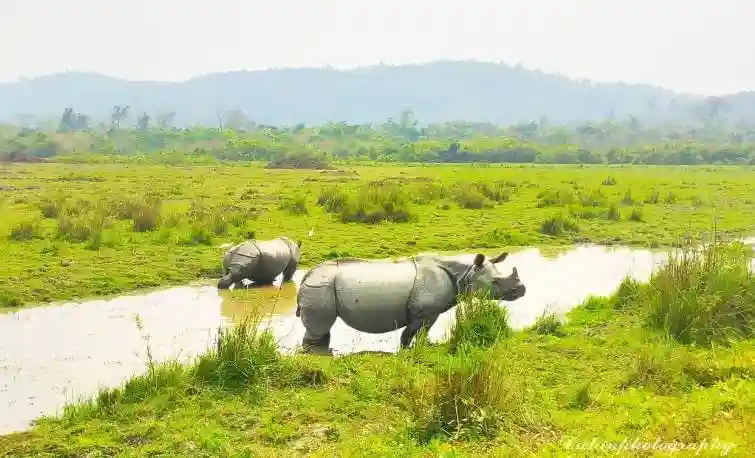 Places to visit in Kaziranga