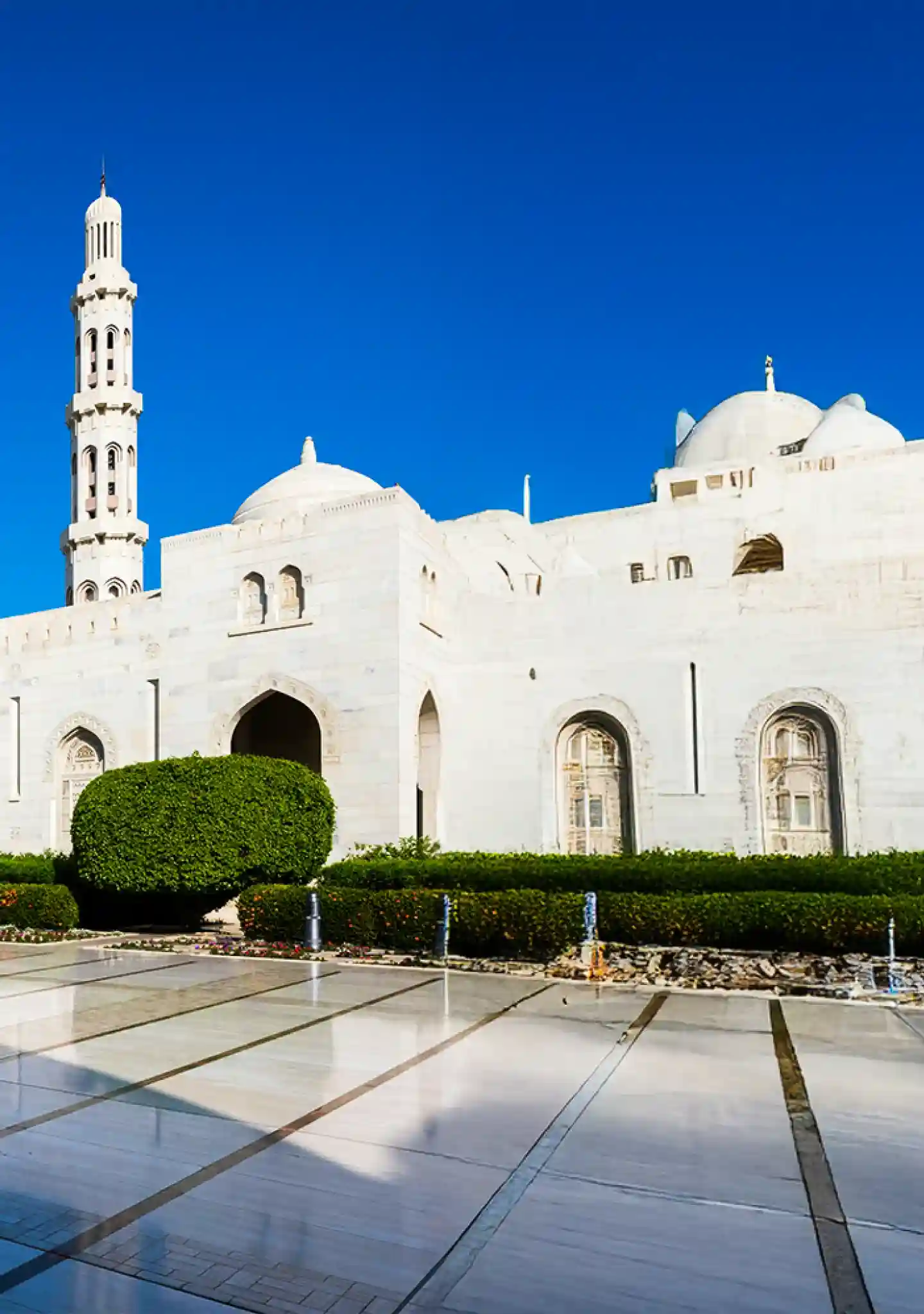 thandland-static-trip