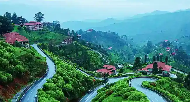 Places To Visit in Kasauli