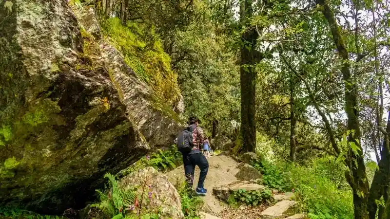 Things to Do in Tirthan Valley