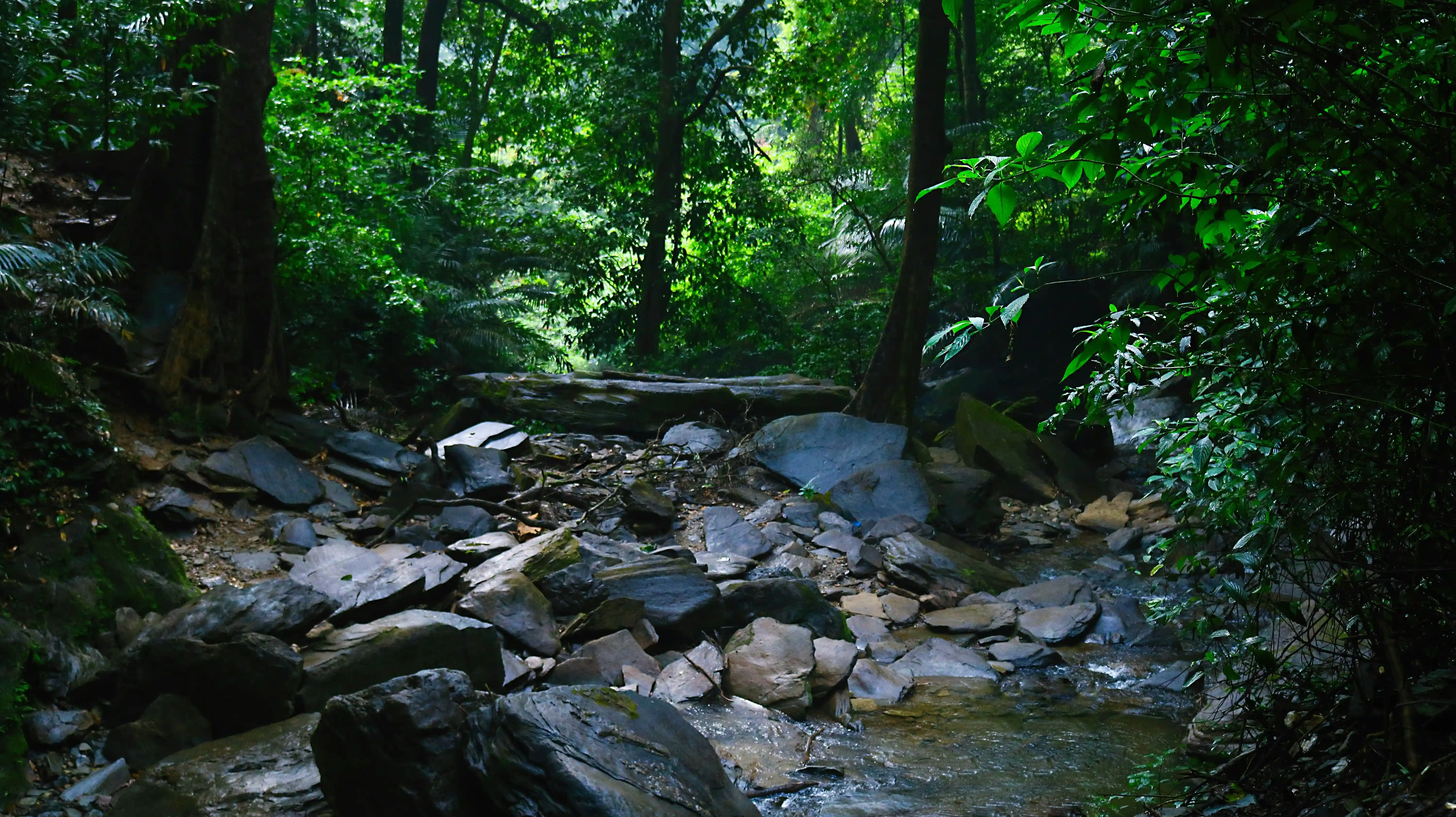 Agumbe Tourist Places