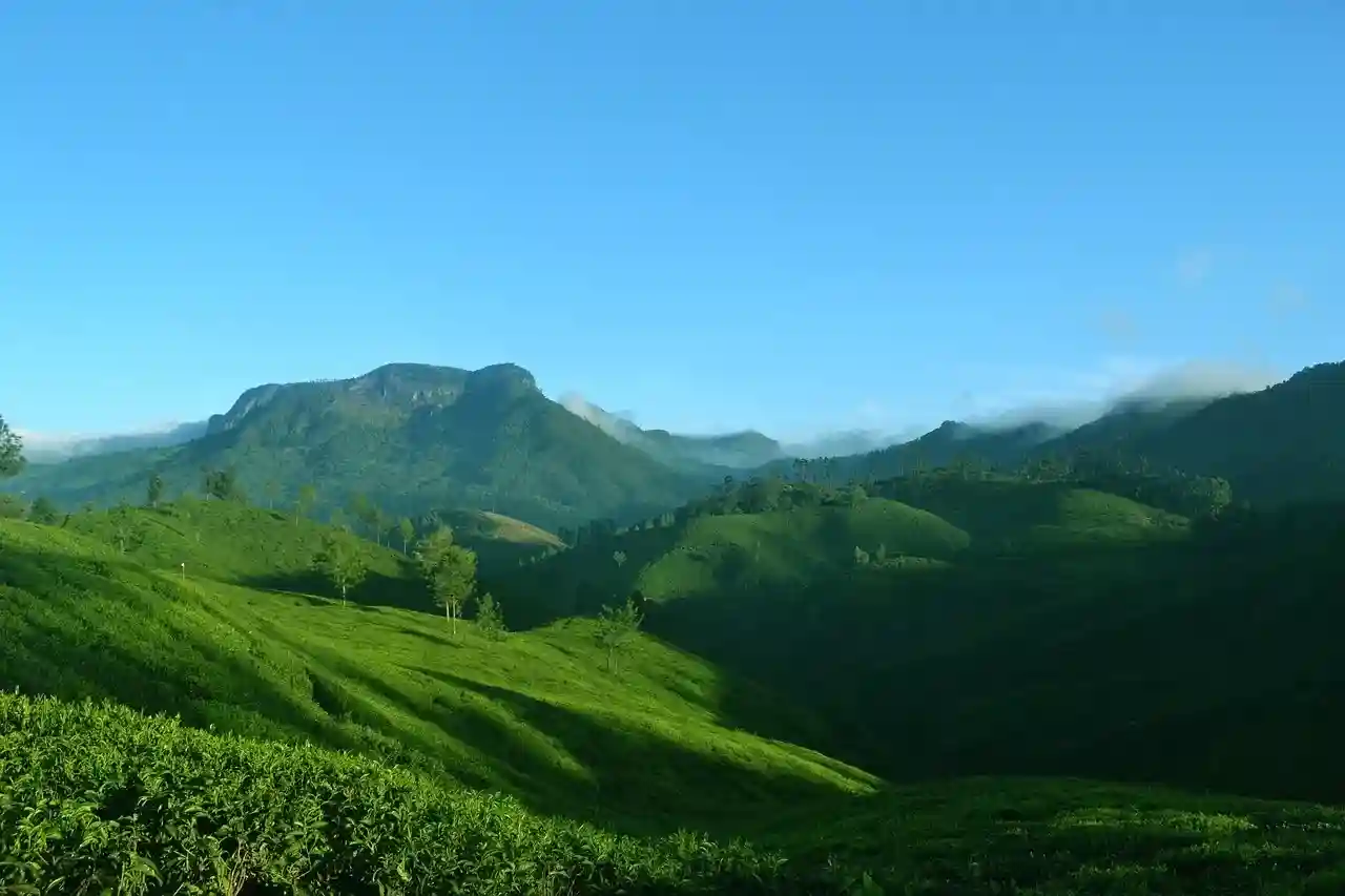Places To Visit In Thekkady
