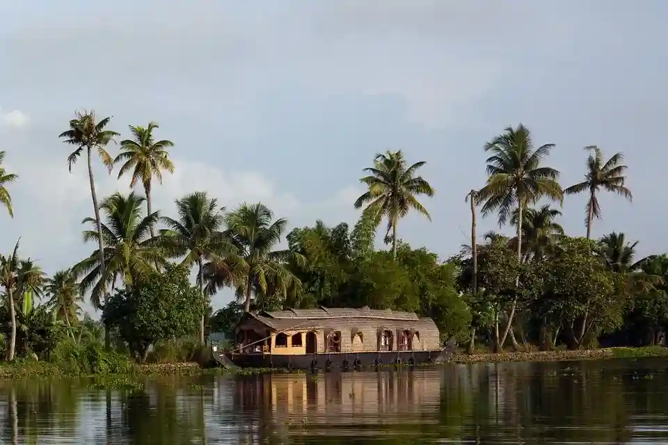Things to Do in Kerala