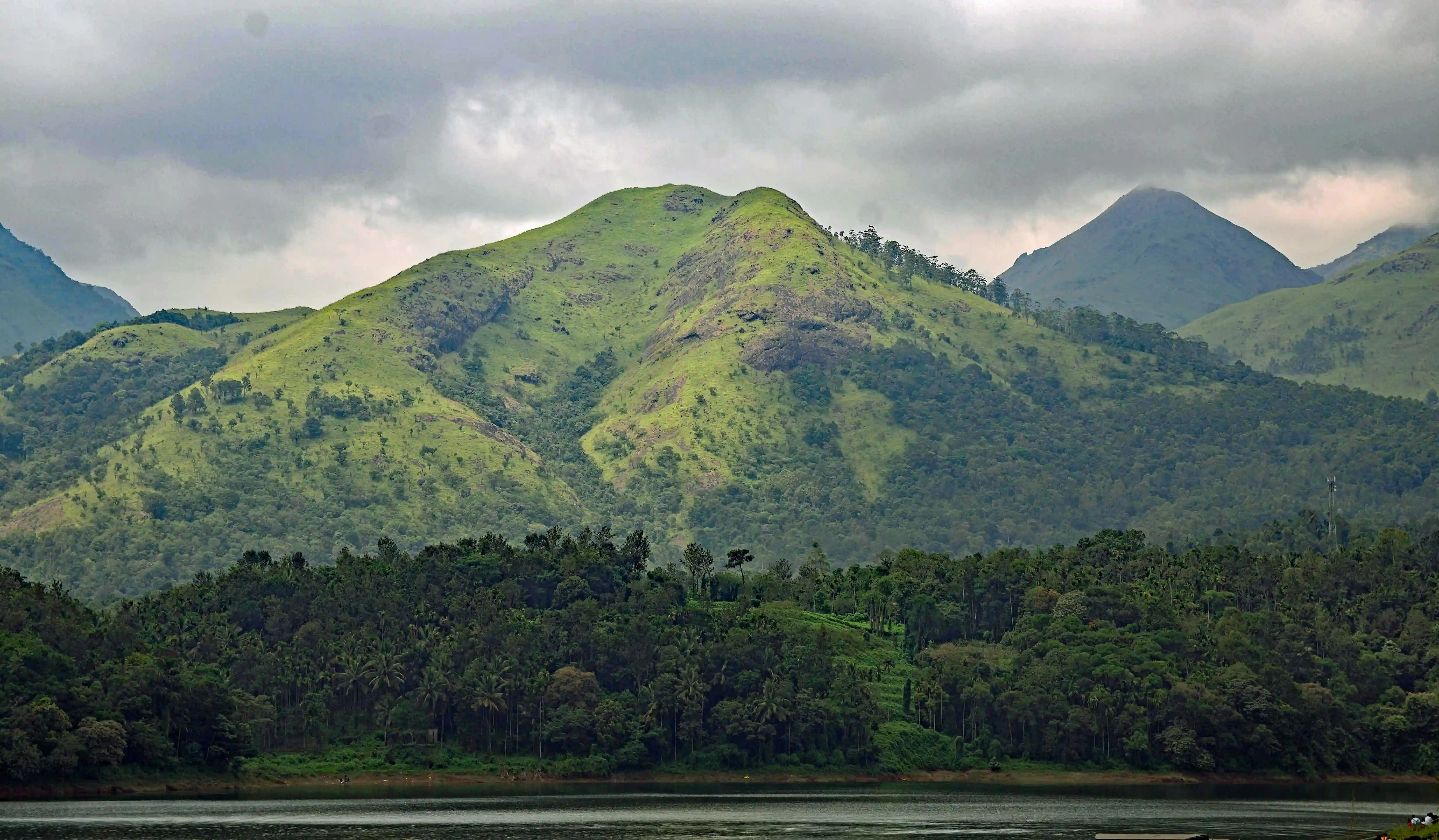 Wayanad Stay Places