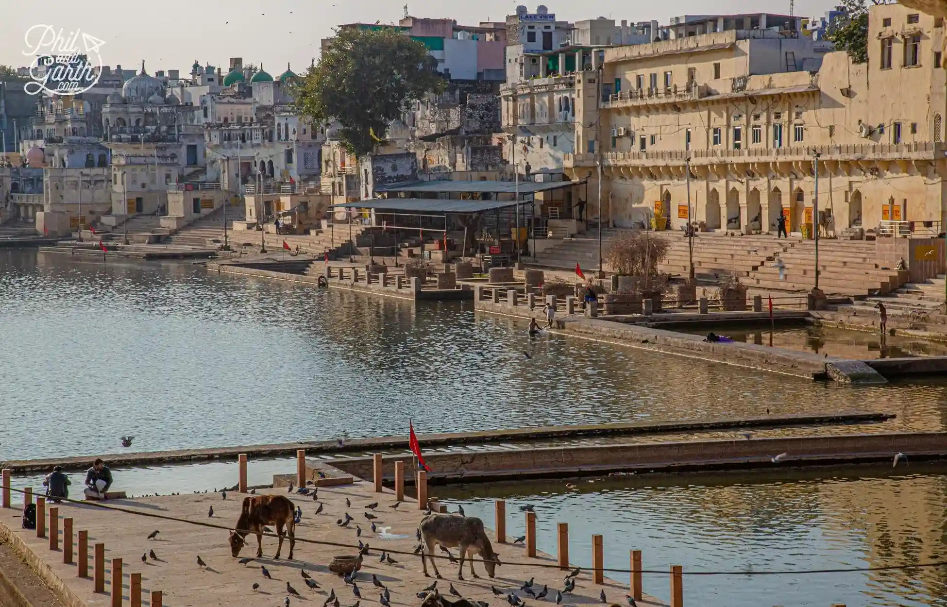 Things to Do in Pushkar