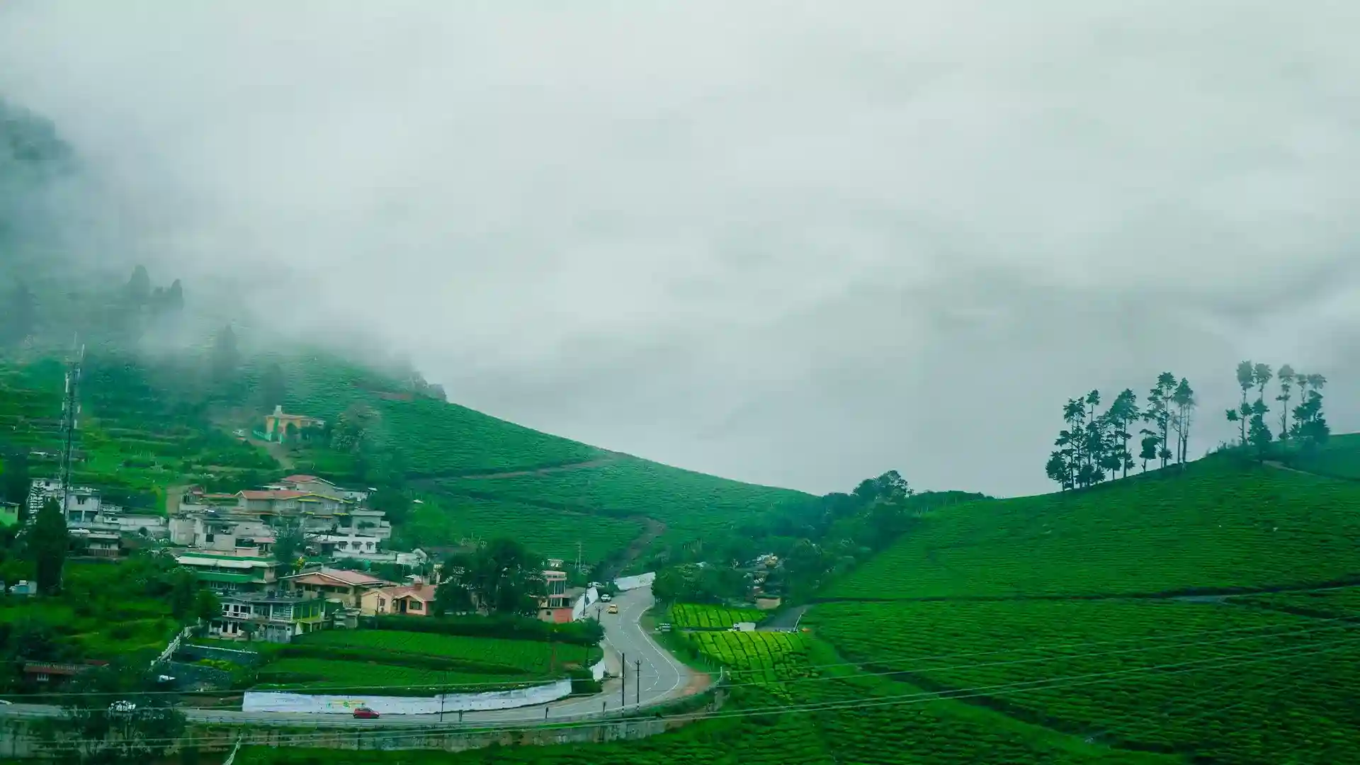 Places To Visit in Ooty