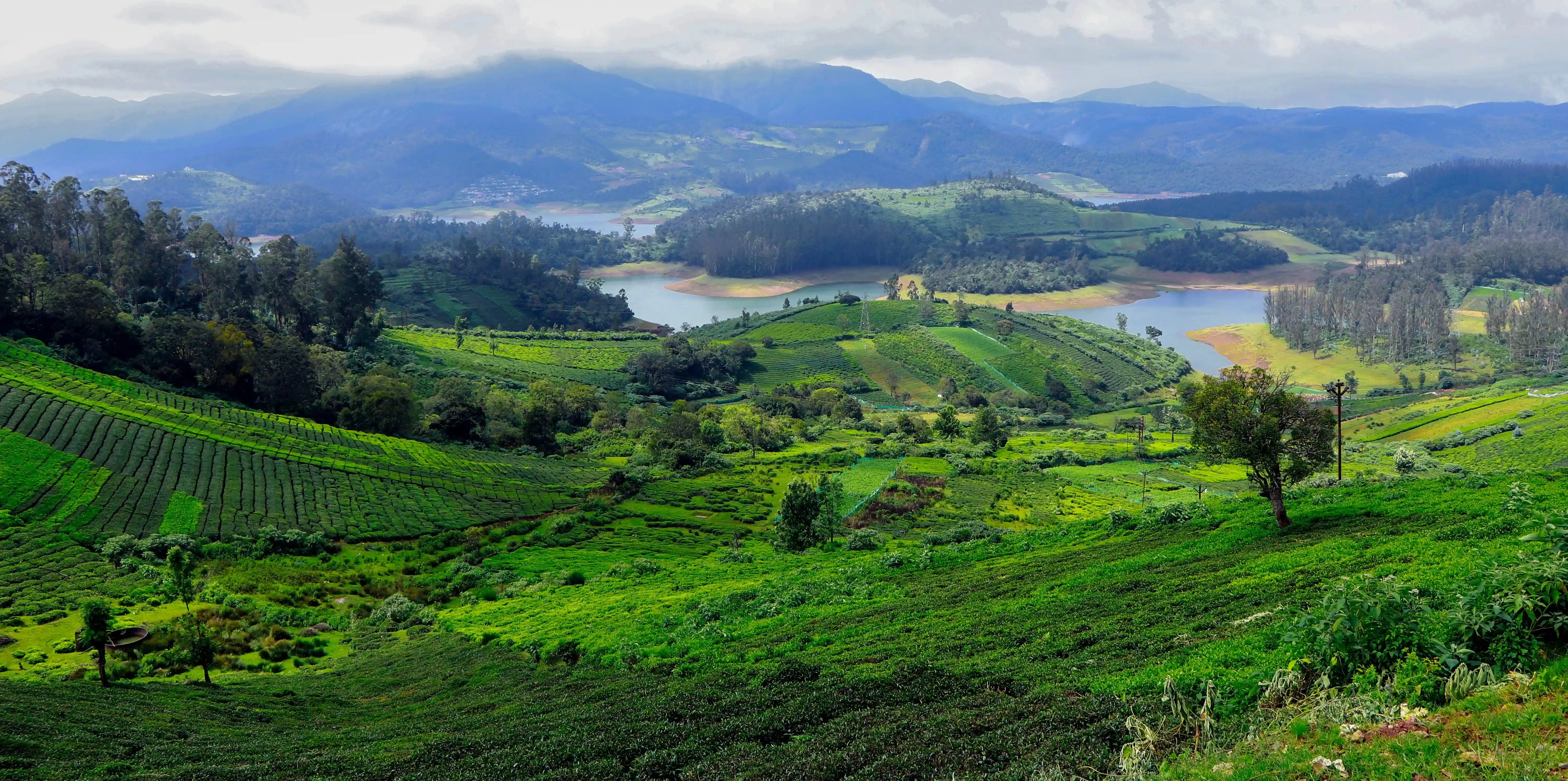 Places To Visit Near Ooty